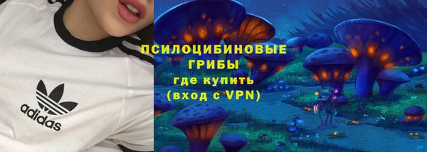 бошки Алзамай