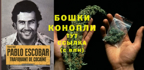 трава Абаза