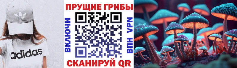kraken маркетплейс Котово Галлюциногенные грибы мухоморы где продают наркотики